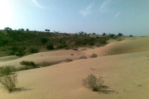 major characterisics